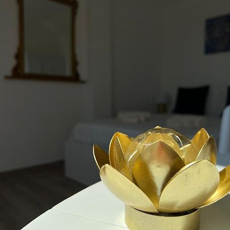Fior Di Loto Suite - Lingotto Турин Екстер'єр фото